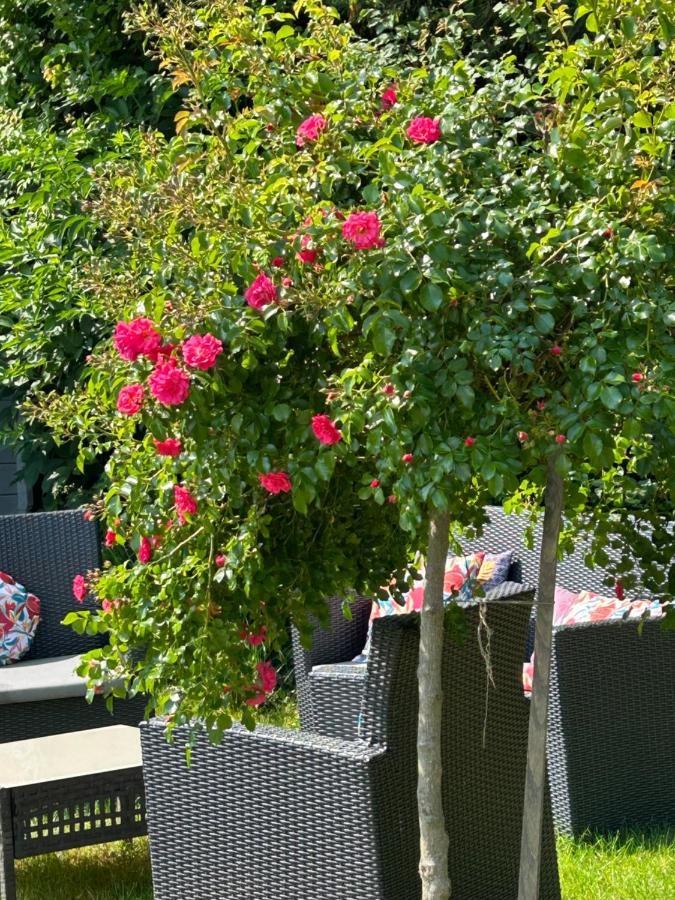 La Glycine B&B Sainte-Colombe  Exterior foto